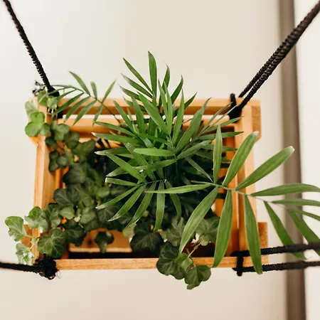 Kostelijk In De Peel Apartman Helenaveen