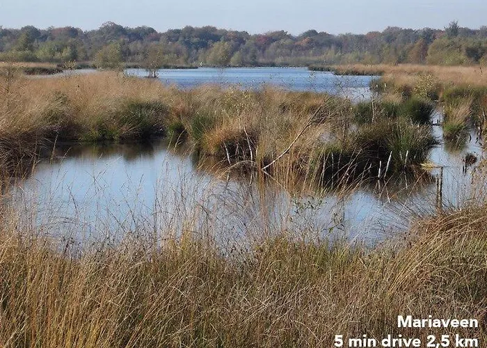 Kostelijk In De Peel