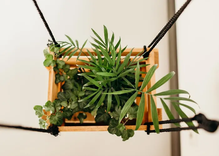 Kostelijk In De Peel Appartamento Helenaveen