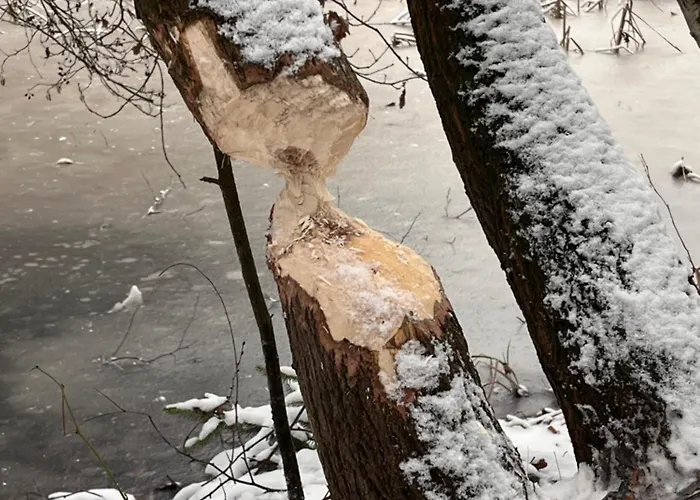 Kostelijk In De Peel Apartman *